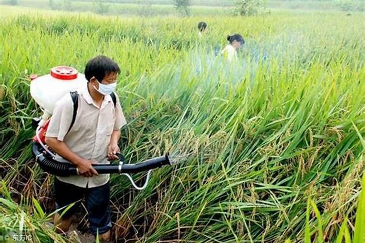 警惕！农药混用不当，后果严重