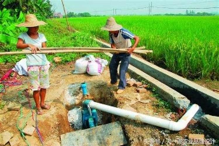 旱田改水田：除草剂残留药害的隐忧