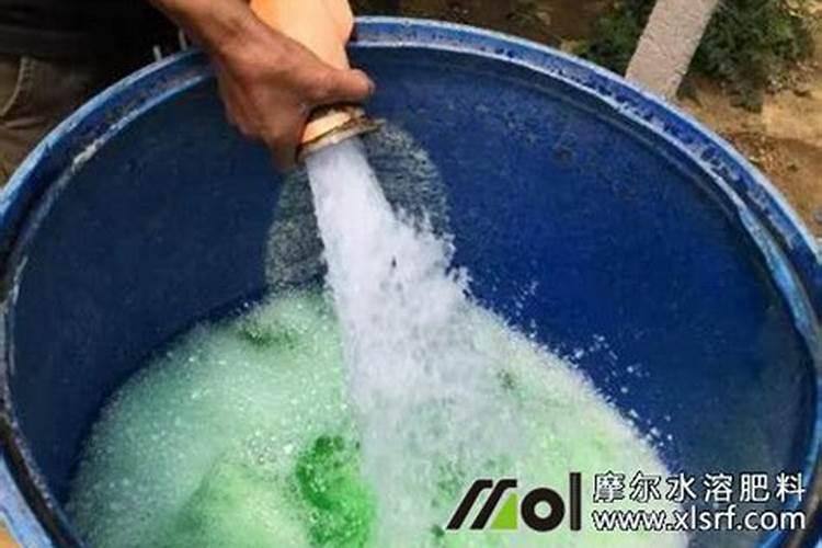 水溶肥兑水了可以放几天,一斤水溶肥兑多少水合适