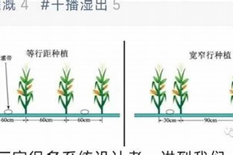 怎样合理施用微量元素肥料？