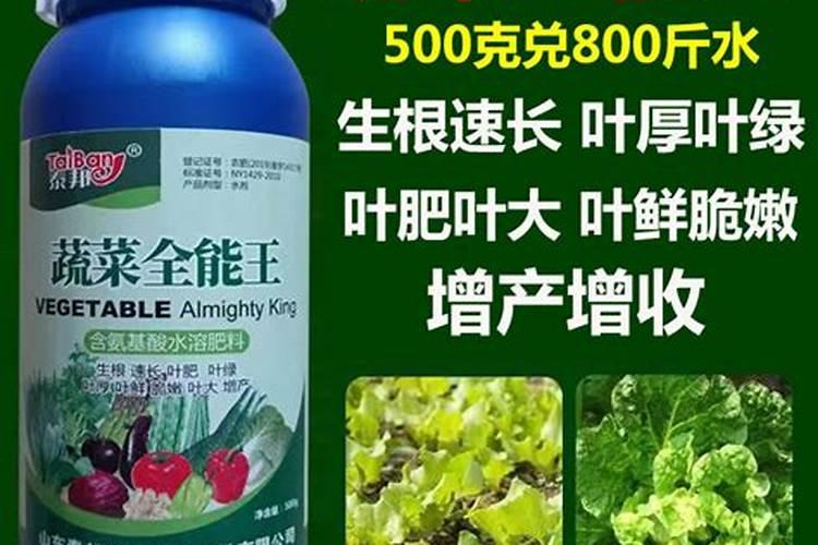 叶菜用什么叶面肥能使茎杆粗壮叶面肥大？