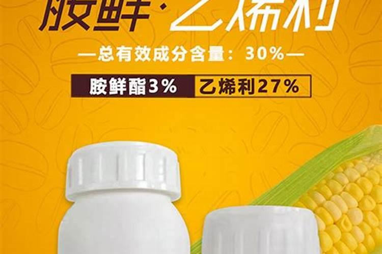 玉米化控药剂使用的安全守则