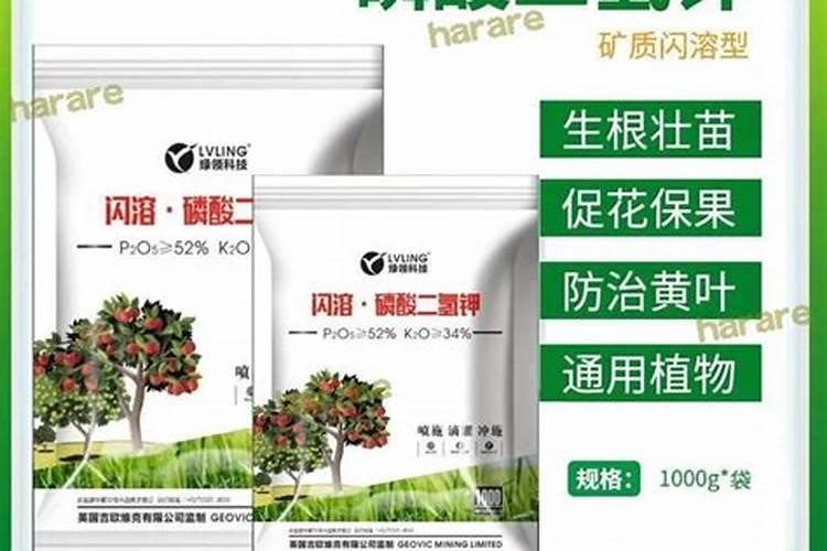 作物促分蘖用氮肥还是磷肥效果好？