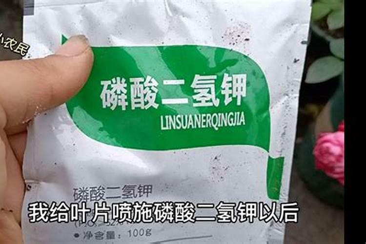 糖水能做叶面肥吗农用品有哪些？