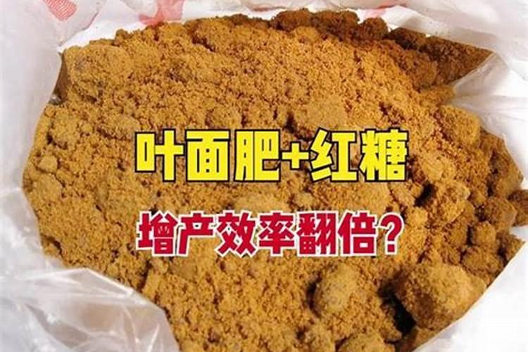 红糖叶面肥都适合哪些作物使用？使用时都有哪些注意事项？