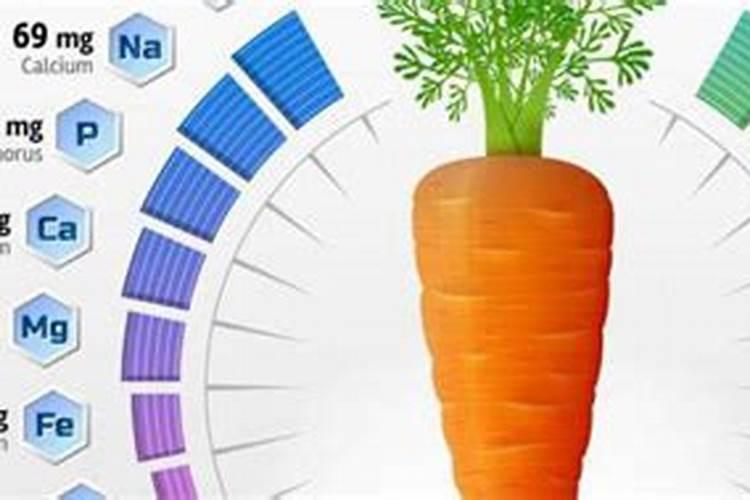 胡萝卜的营养秘诀：精准施肥指南
