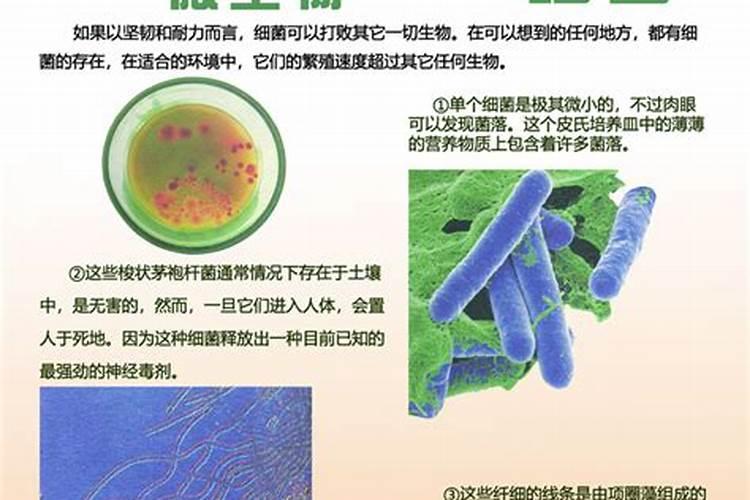 生物知识,多多益善哒昂、