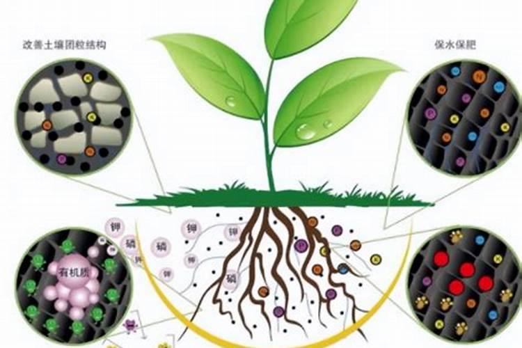 提升土壤肥力与作物产量：掌握生物有机复合肥的施用技巧