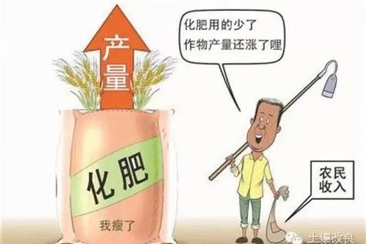 为什么实施化肥使用量零增长白由路答记者问