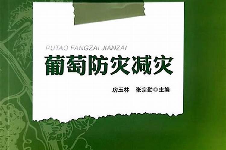 守护果实的盾牌：深入解析葡萄防灾减灾技术规程