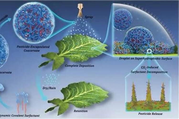 提升生物农药效能：策略与实践