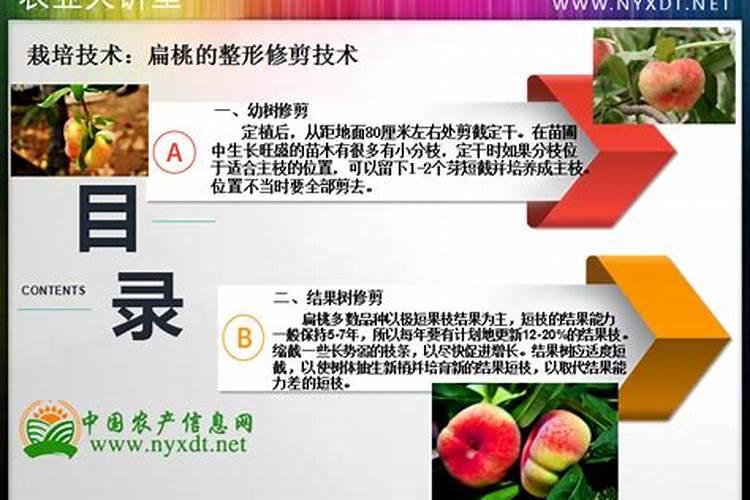 福利来啦！扁桃施肥管理的新妙招