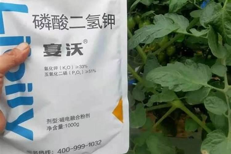 钾肥能不能用来冲施蔬菜？