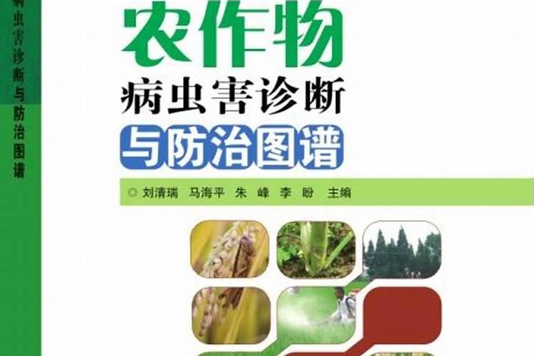 田野守护者：农作物药害确诊的科学路径