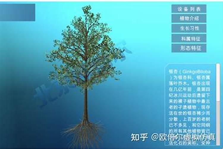 冰封之下，药植之盾：掌握药用植物防冻技术的秘籍