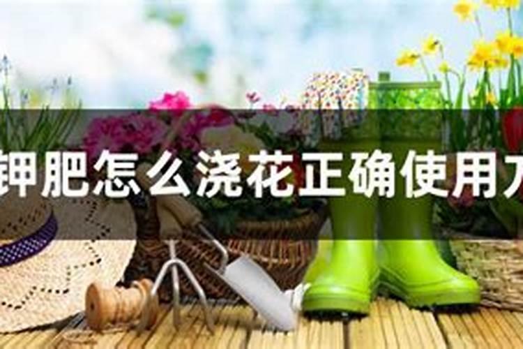 磷钾肥怎么浇花正确使用方法