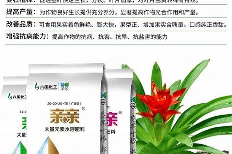 褐藻氮镁硫水溶肥的好处是什么？