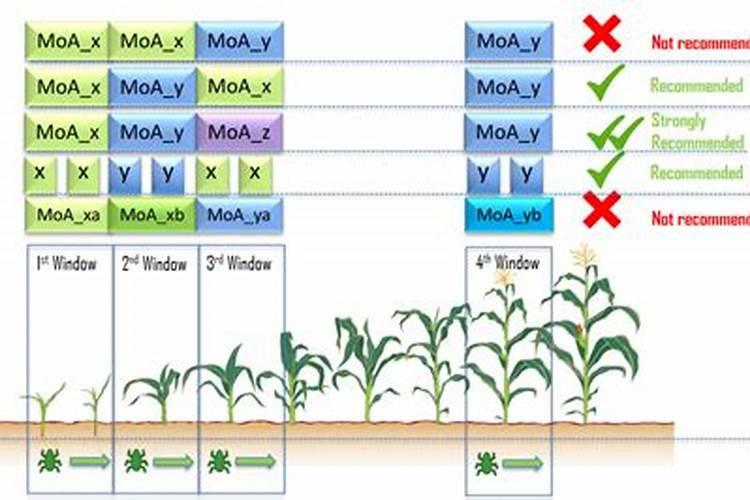 为什么轮换使用农药可预防与治理有害生物的抗药性？