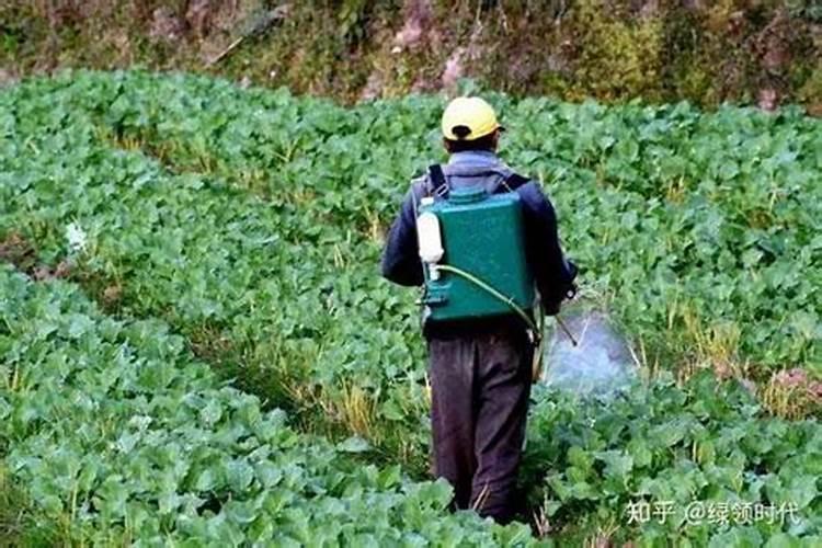 夏季要加强防范农药毒性,应该注意什么呢？