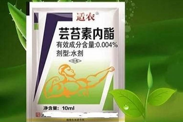 芸苔素多久喷一次,效果功能,什么时候不能使用