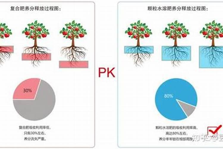 水溶肥的多彩世界：揭秘不同类型间的差异？