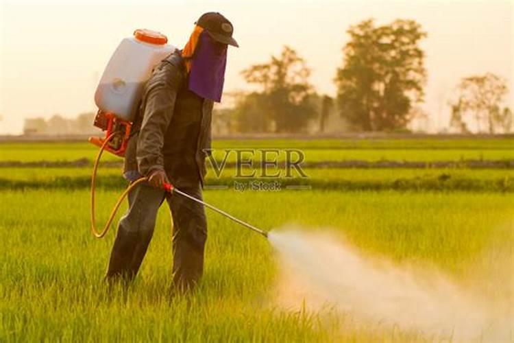 生物农药需要找好天气来施用,这是为什么？