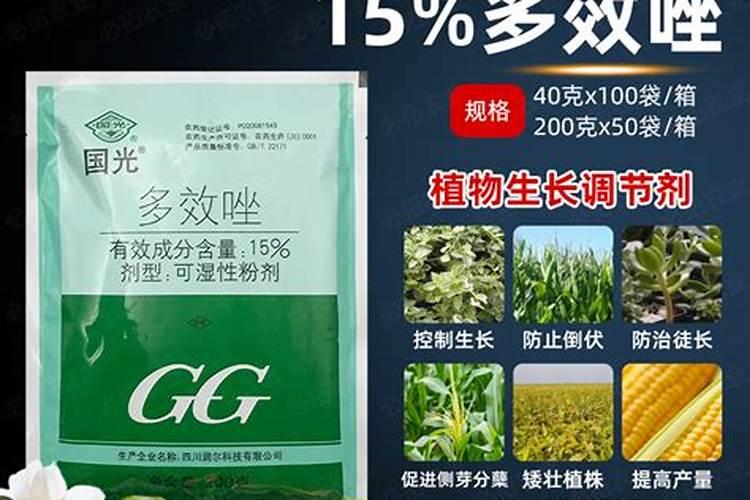 警惕！种植花生时过量使用农药多效唑的潜在风险？