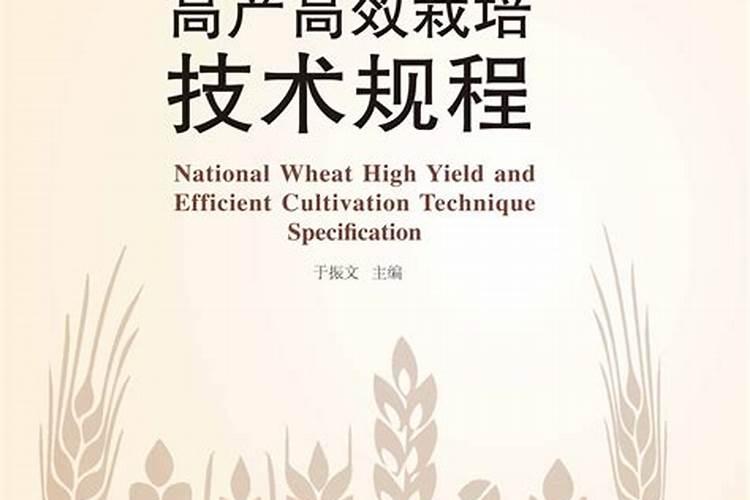 农作物施肥的黄金法则：走向高产高效的农业之路