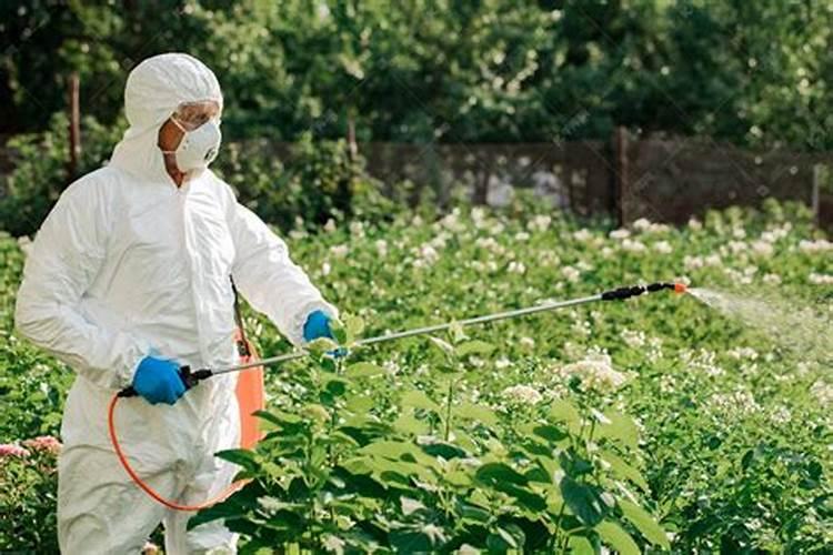 警惕夏季农药风险：确保安全喷药，远离中毒威胁