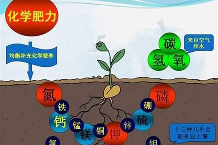 解锁土壤潜能：中微量元素肥料的正确施用之道