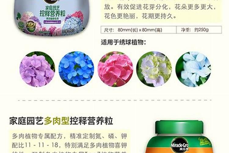 多肉植物的营养秘籍：选择正确的花肥料？