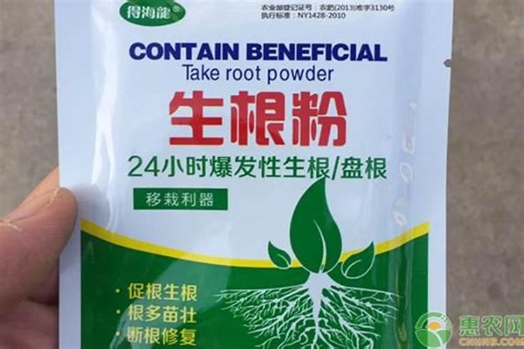 植物移植生根粉的用法