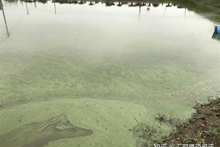 水产外用消毒和杀虫药注意事项