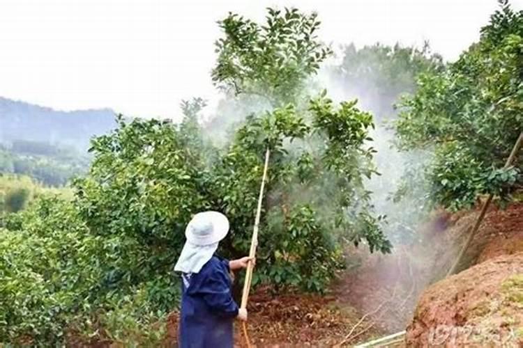 植物调节剂如何复配使用，常见的植物调节剂复配方法？