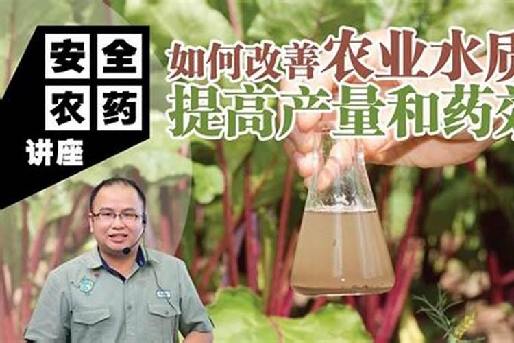 揭秘细菌生物农药：提升药效的关键策略