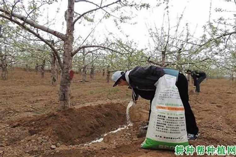 什么样水质补磷肥效果好一点？