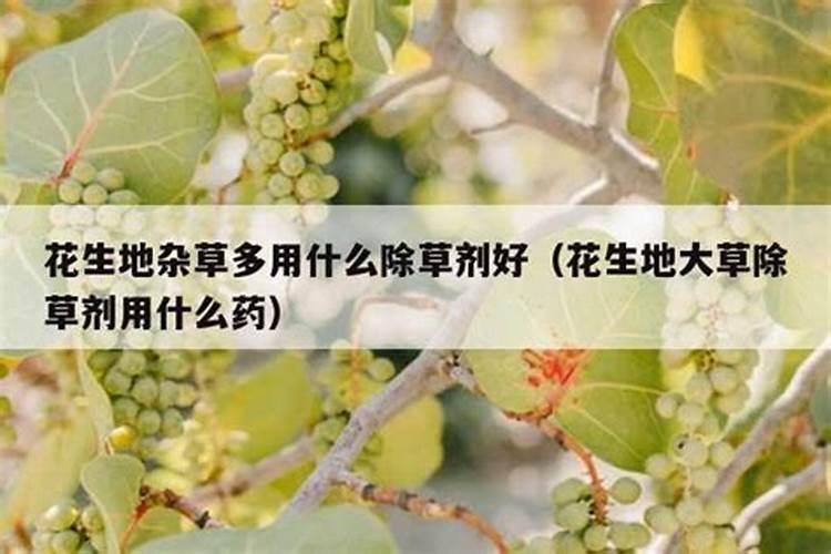 牡丹地除草剂，是用什么药？