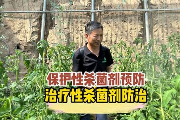 保护性杀菌剂如何使用