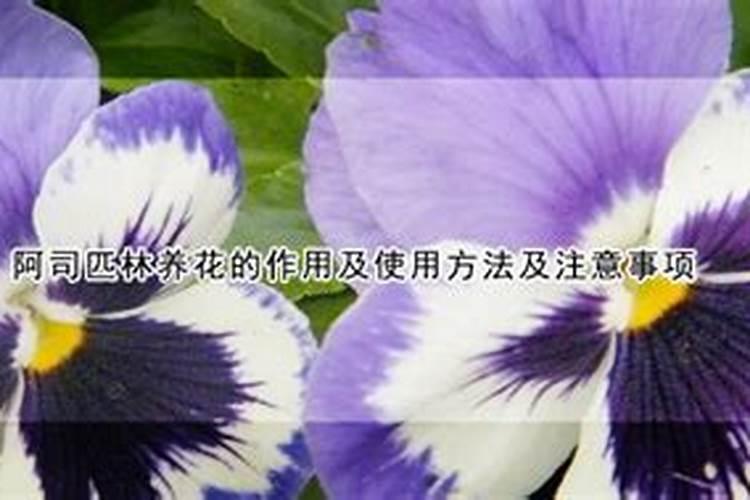 阿司匹林养花的作用及使用方法及注意事项