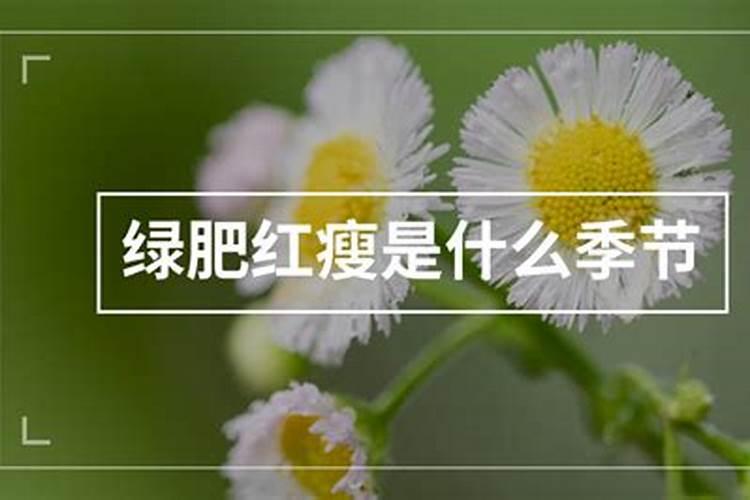 绿肥红瘦是什么季节，绿肥红瘦是什么季节的景象？