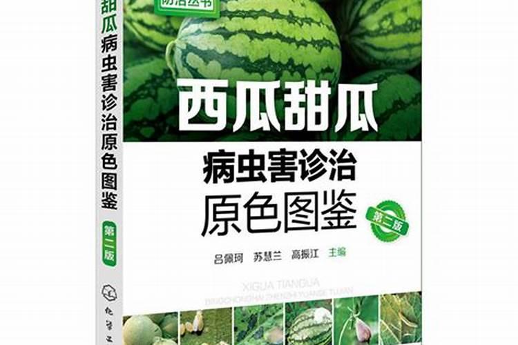 西瓜病虫害防治：药剂选择与应用指南