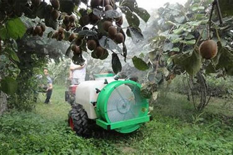 雨季果农的智慧：多雨季节如何高效为果树打药？