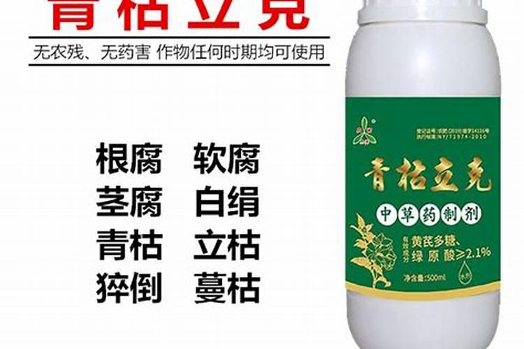 战胜白腐病：症状识别与农药治疗策略详解