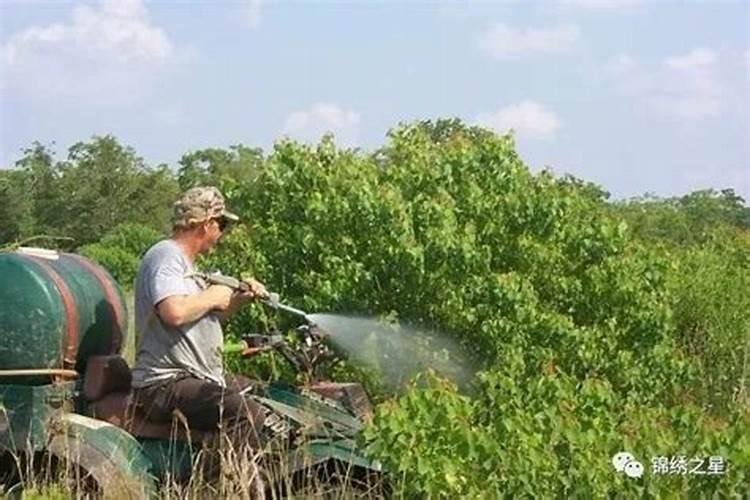 十项法则避免或杜绝除草剂副作用的发生