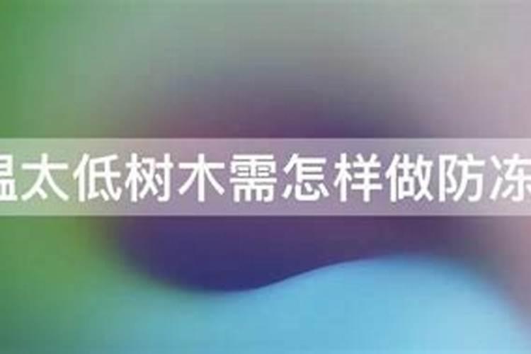 气温太低树木需怎样做防冻措施