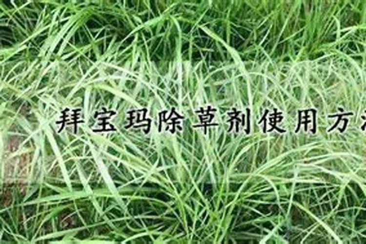 掌握正确方法：拜宝玛除草剂的高效应用？