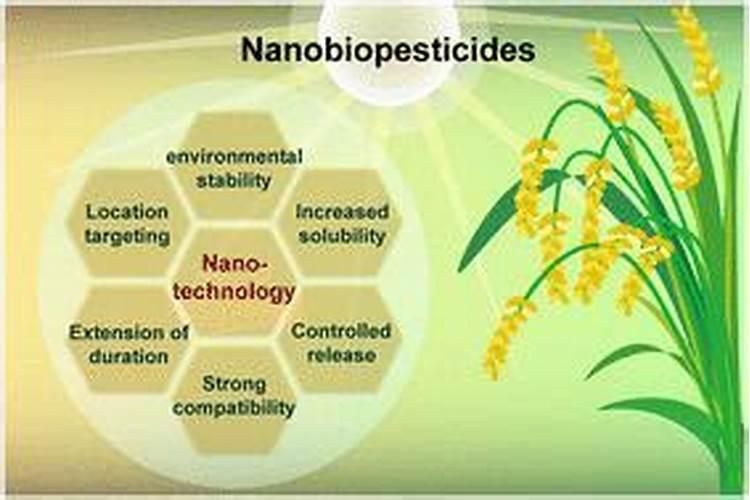 掌握生物农药使用技术：迈向农业可持续发展的关键步骤