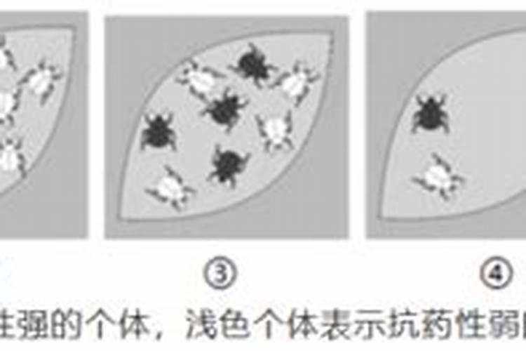 为什么随着杀虫剂的持续使用,效果更差