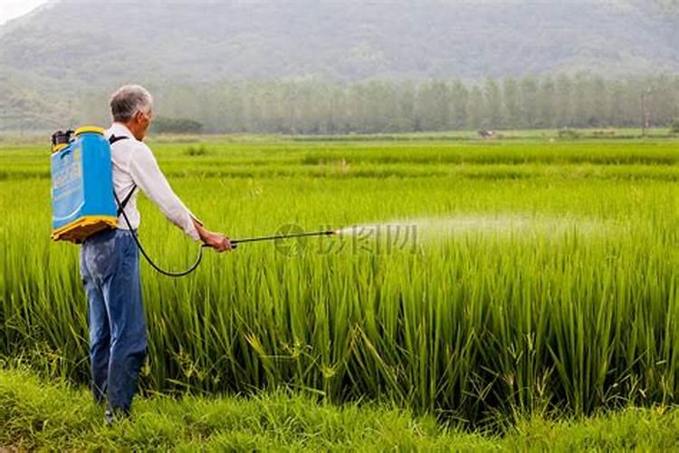 绿色守护：正确施用生物农药的艺术