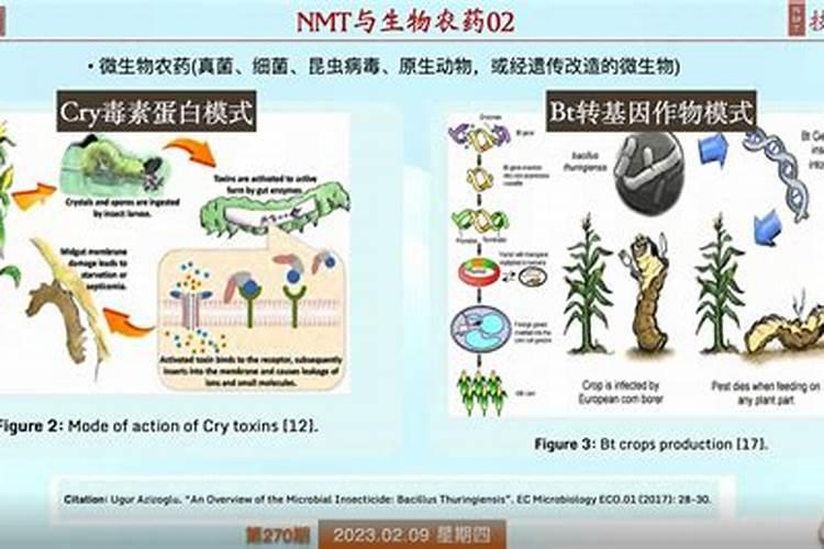 绿色食品与农药的科学共舞：保障安全与生态平衡